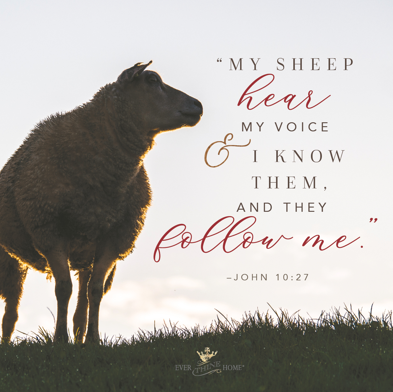 How Do I Know It's the Holy Spirit? 5 Ways to Recognize God's Voice - Ever  Thine Home