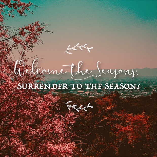 Season for Surrender by Theresa Romain