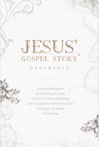 Gospel Story Booklet Image