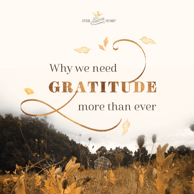 Why We Need Gratitude More Than Ever - Ever Thine Home