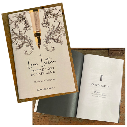 Display - Book-Images-A Love Letter to the Lost in this Land