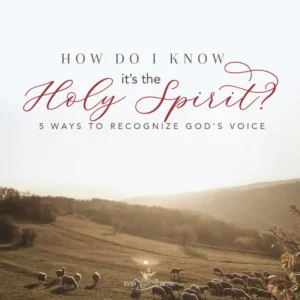 A Field with Sheep grazing in the sunrise with the caption: How Do I know it's the Holy Spirit?