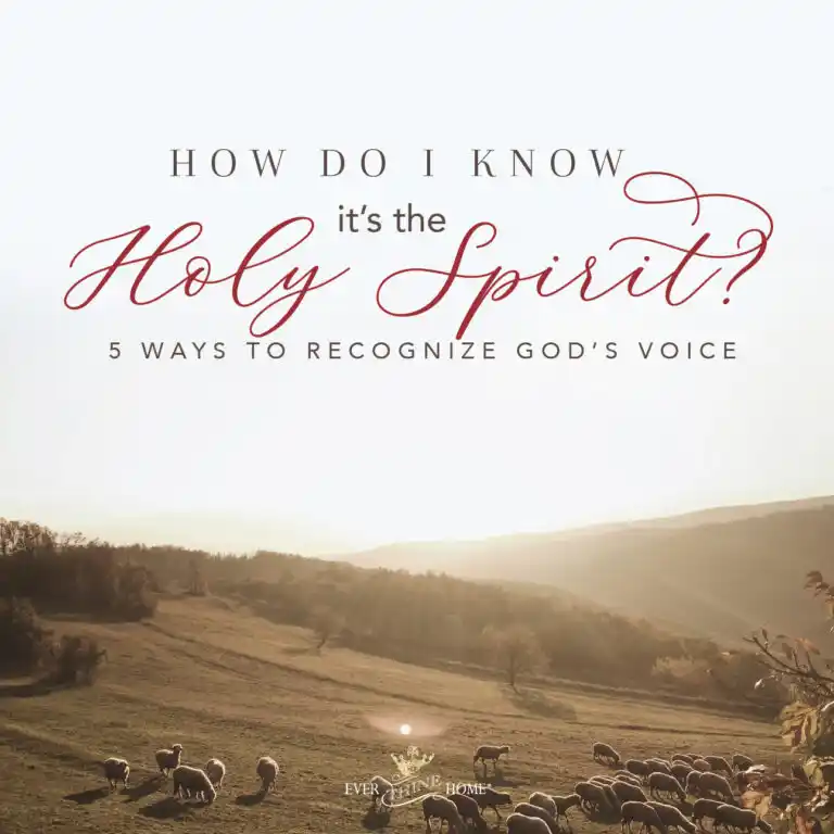 A Field with Sheep grazing in the sunrise with the caption: How Do I know it's the Holy Spirit?