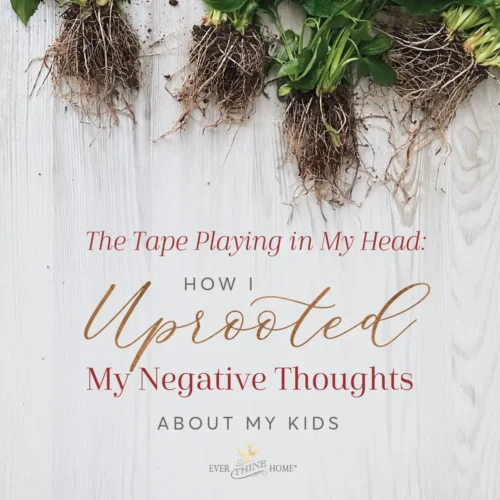Plants that have been uprooted sitting on a table with the caption: The tape playing in my head: How I uprooted my negative thoughts about my kids.